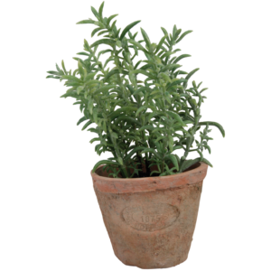 FAUX THYME IN AGED TERRACOTTA POT