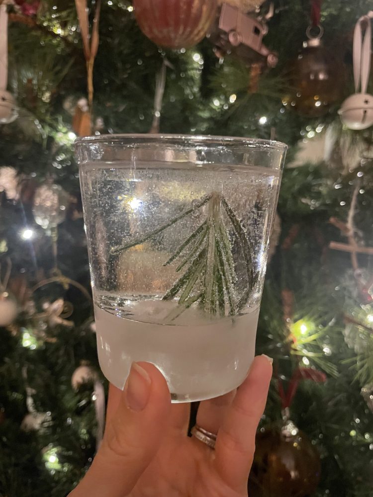 The viral snow globe christmas cocktail with rosemary christmas tree